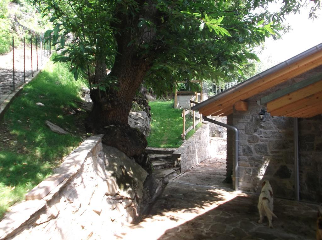 Agriturismo Ai Ronchi Sorico Bagian luar foto